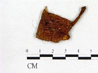 登錄號:F0016304藏品圖，第1張