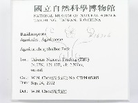 登錄號:F0016306藏品圖，第2張