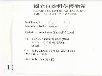 登錄號:F0016307藏品圖，第2張