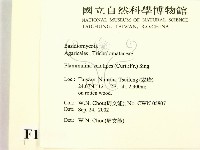 登錄號:F0016308藏品圖，第2張