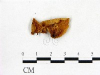 登錄號:F0016308藏品圖，第3張