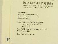 登錄號:F0016309藏品圖，第2張