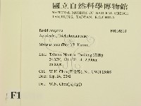 登錄號:F0016310藏品圖，第2張