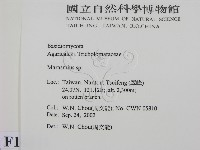 小皮傘屬藏品圖，第2張