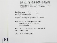 登錄號:F0016312藏品圖，第2張