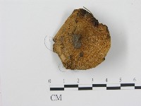 登錄號:F0016315藏品圖，第1張