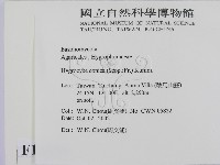 登錄號:F0016318藏品圖，第2張