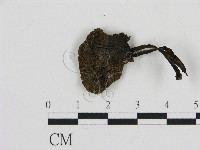 登錄號:F0016318藏品圖，第3張