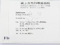 登錄號:F0016319藏品圖，第2張