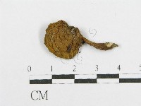 登錄號:F0016319藏品圖，第3張