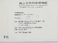 小菇屬藏品圖，第2張