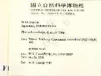 登錄號:F0016322藏品圖，第2張