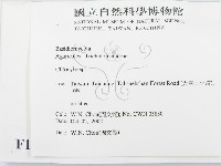 杯傘屬藏品圖，第2張