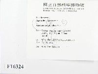 登錄號:F0016324藏品圖，第2張