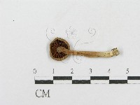 登錄號:F0016326藏品圖，第1張
