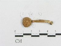 登錄號:F0016326藏品圖，第3張