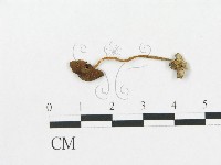 登錄號:F0016328藏品圖，第1張