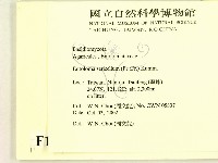 登錄號:F0016329藏品圖，第2張