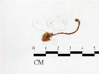 登錄號:F0016329藏品圖，第3張