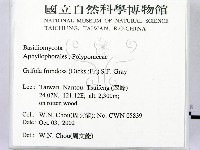 登錄號:F0016331藏品圖，第2張