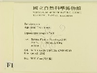 登錄號:F0016332藏品圖，第2張