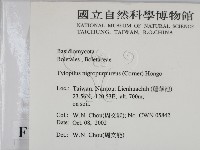 登錄號:F0016333藏品圖，第2張