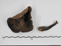 登錄號:F0016333藏品圖，第3張