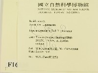 登錄號:F0016335藏品圖，第2張