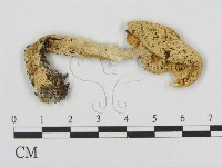 登錄號:F0016335藏品圖，第3張