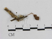登錄號:F0016343藏品圖，第3張