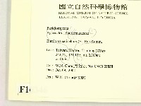 登錄號:F0016346藏品圖，第2張