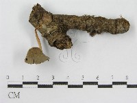 登錄號:F0016349藏品圖，第1張