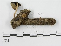 登錄號:F0016349藏品圖，第3張