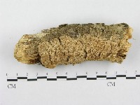 登錄號:F0016350藏品圖，第1張