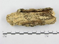 登錄號:F0016350藏品圖，第4張