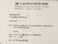 紅菇屬藏品圖，第2張