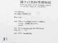 紅菇屬藏品圖，第2張