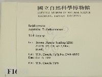 登錄號:F0016356藏品圖，第2張