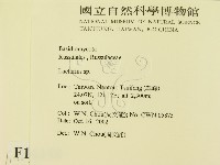 乳菇屬藏品圖，第2張