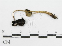 登錄號:F0016359藏品圖，第3張