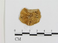 登錄號:F0016360藏品圖，第1張