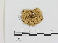 登錄號:F0016360藏品圖，第3張