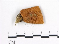 登錄號:F0016361藏品圖，第1張