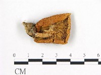 登錄號:F0016361藏品圖，第3張