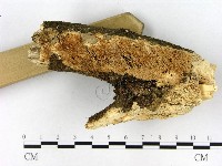 登錄號:F0016363藏品圖，第3張