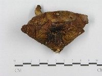 登錄號:F0016364藏品圖，第3張