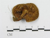 登錄號:F0016365藏品圖，第1張