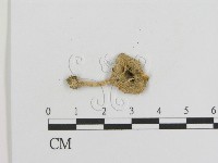 登錄號:F0016367藏品圖，第1張