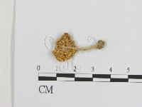 登錄號:F0016367藏品圖，第3張