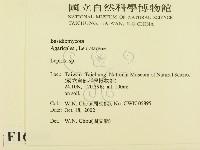 登錄號:F0016368藏品圖，第2張